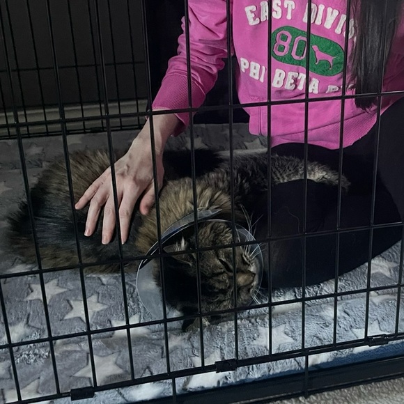 Lulu’s ‘No One Quite Like You’ Dark Blue Embroidered Shift Dress - Picture 8 of 13